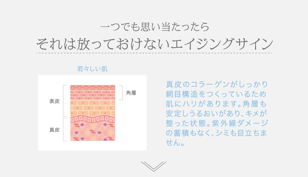 発酵熟成プラセンタ ミルグレース