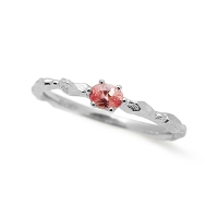 XmasV艿i ʌ El [hNTCg J[fBX O 119Ή PT900 K18 K10Ή<br> 12/11() 8250066000ō ΏۊO